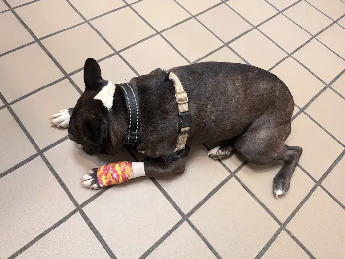 Lange Animal Hospital Picture 2
