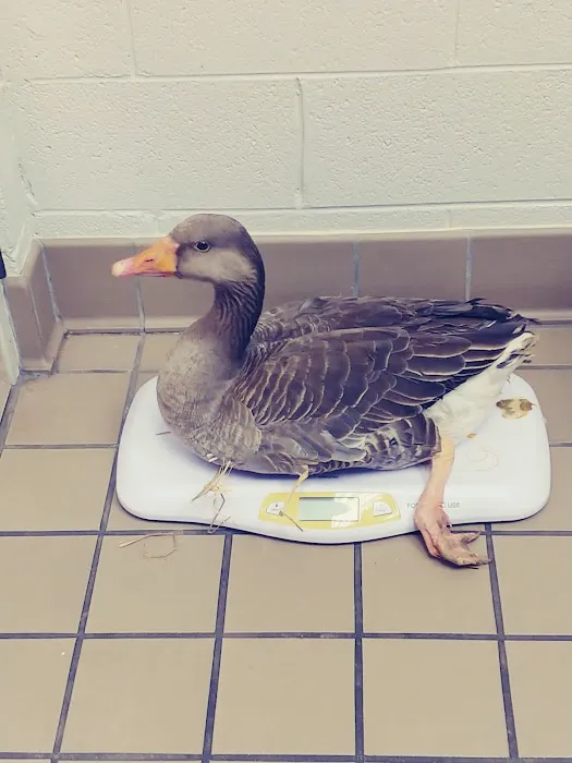Lange Animal Hospital Picture 9