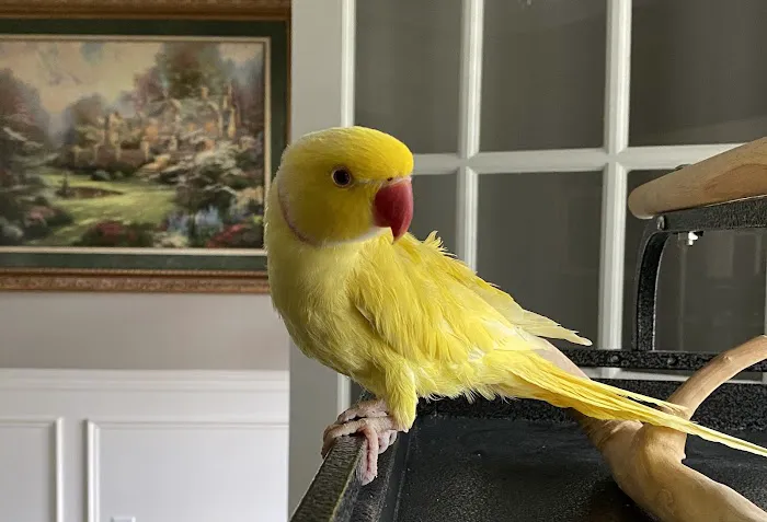Lange Animal Hospital Picture 7