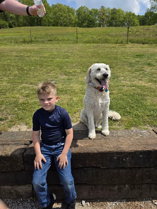 Spring City Pet Care Picture 3