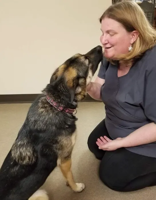 Loudon County Animal Hospital Picture 3