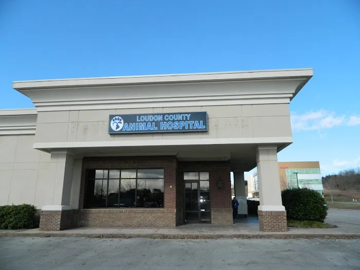 Loudon County Animal Hospital Picture 6