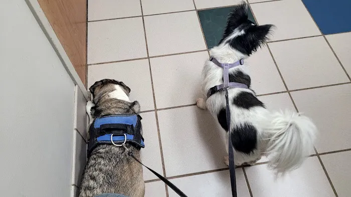 Lenoir City Animal Clinic Picture 2