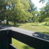 Springfield Animal Clinic ico