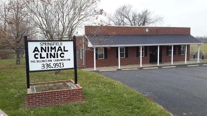 Springfield Animal Clinic Picture 10