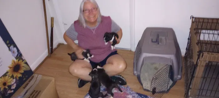 Riverside Animal Clinic Picture 5