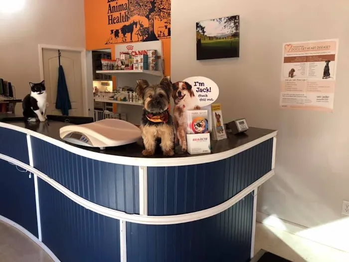 Lakeside Animal Health Picture 9