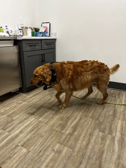 Bourbon City Animal Hospital Picture 1