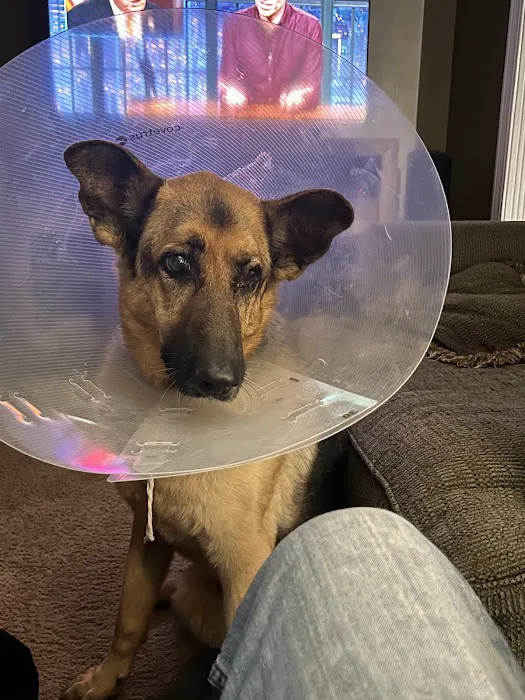 Bourbon City Animal Hospital Picture 2