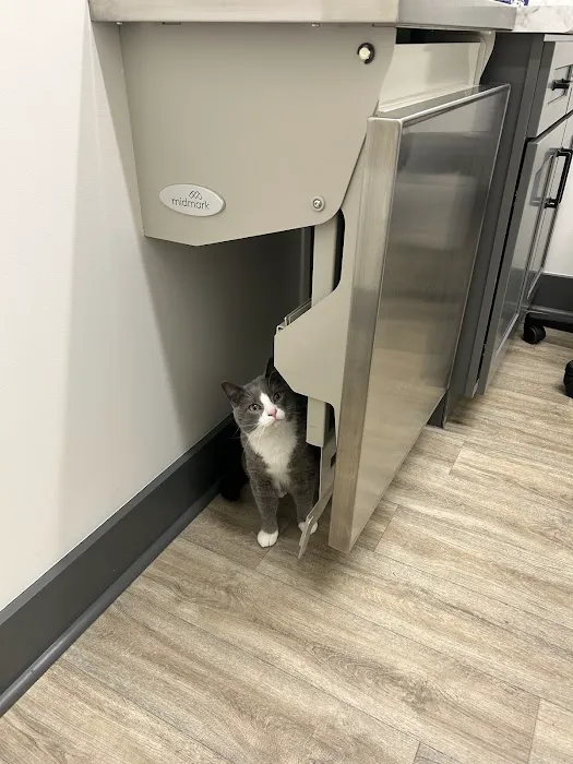 Bourbon City Animal Hospital Picture 7