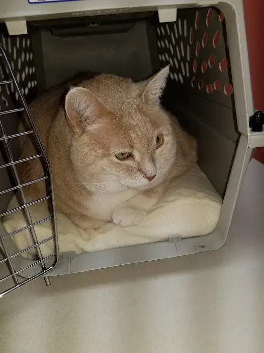 Bardstown Animal Clinic Picture 5