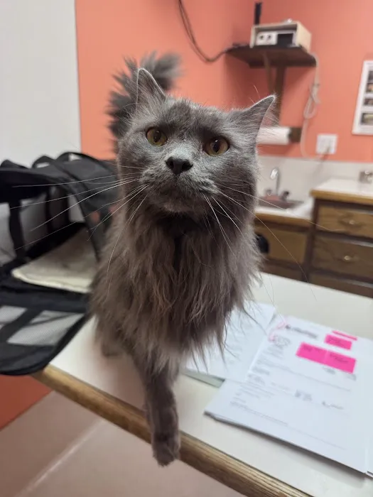 Bardstown Animal Clinic Picture 7