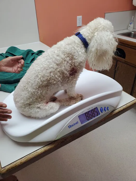 Bardstown Animal Clinic Picture 10