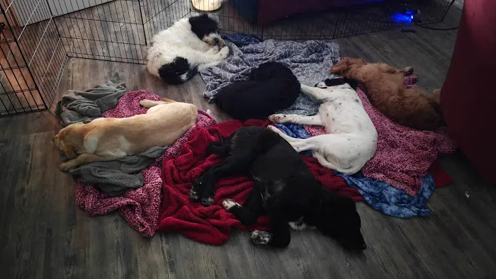 Bardstown Animal Clinic Picture 8