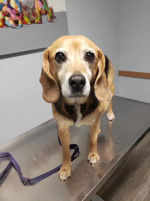 Central Kentucky Animal Clinic Picture 4