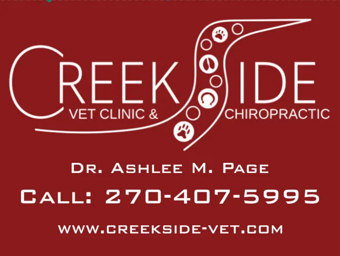 Creekside Veterinary Clinic & Chiropractic Picture 5