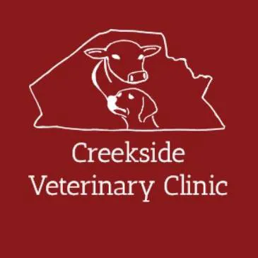 Creekside Veterinary Clinic & Chiropractic Picture 2