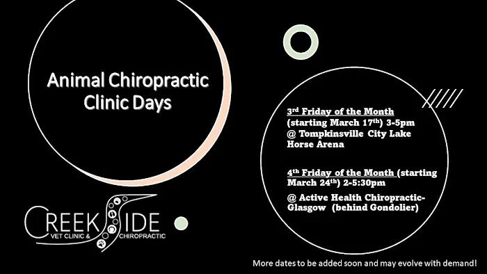 Creekside Veterinary Clinic & Chiropractic Picture 4