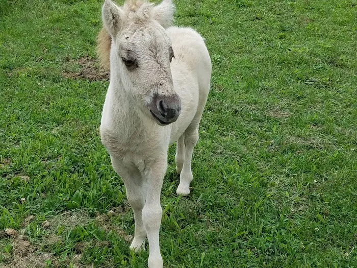 Clay County Animal Hospital Picture 1