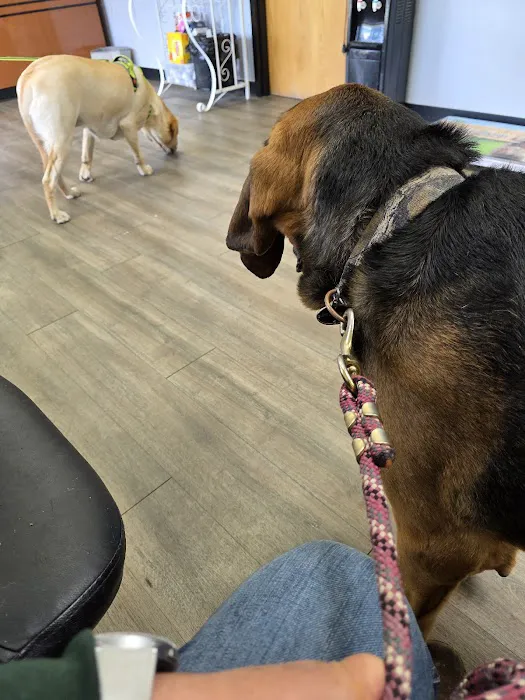 Pana Animal Hospital Picture 1