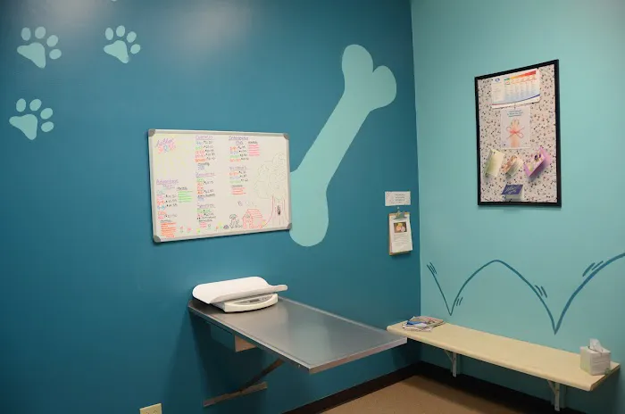 Pana Animal Hospital Picture 6