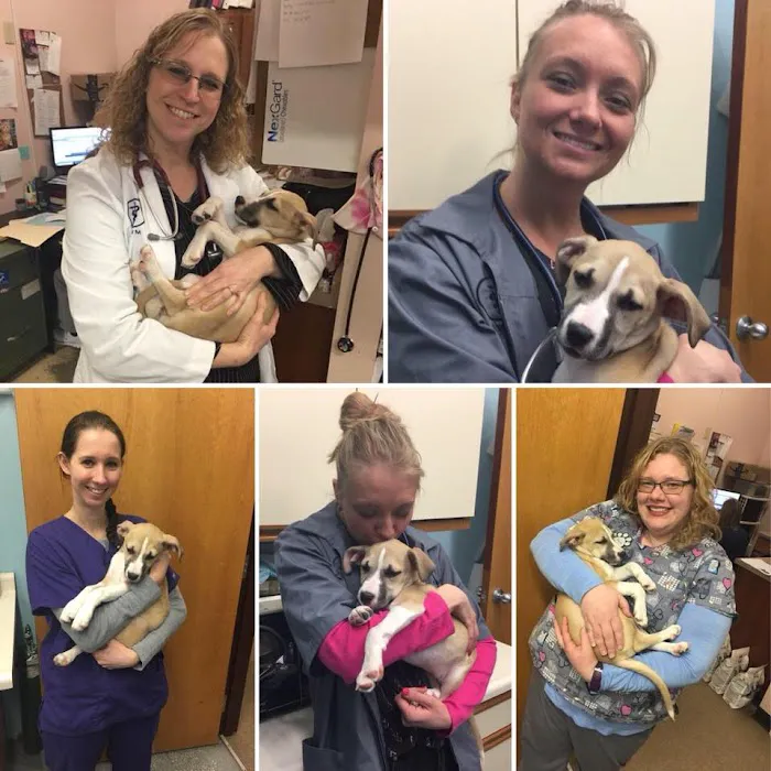 Pana Animal Hospital Picture 10