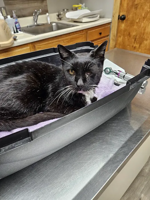 Assumption Veterinary Clinic Picture 6