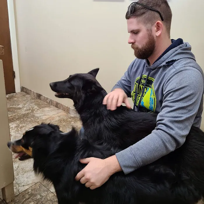 Bel Aire Pet Clinic Picture 1