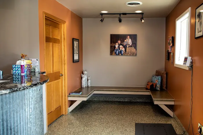 Pawsitively Pets Animal Hospital Picture 5