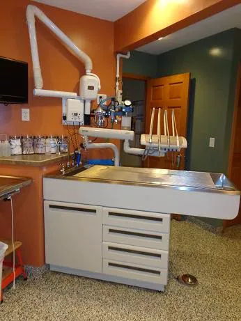 Pawsitively Pets Animal Hospital Picture 8