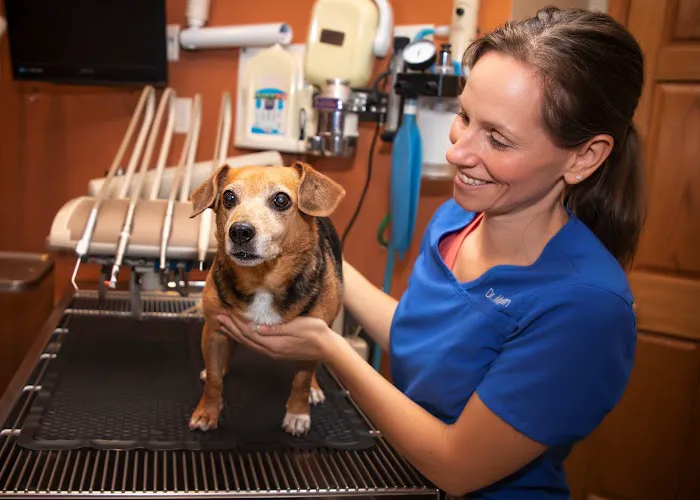 Pawsitively Pets Animal Hospital Picture 7
