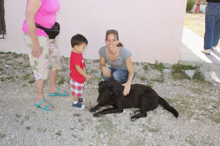 Pawsitively Pets Animal Hospital Picture 10