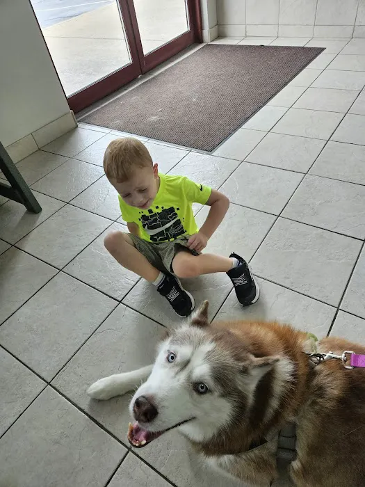 Brush College Animal Hospital Picture 9