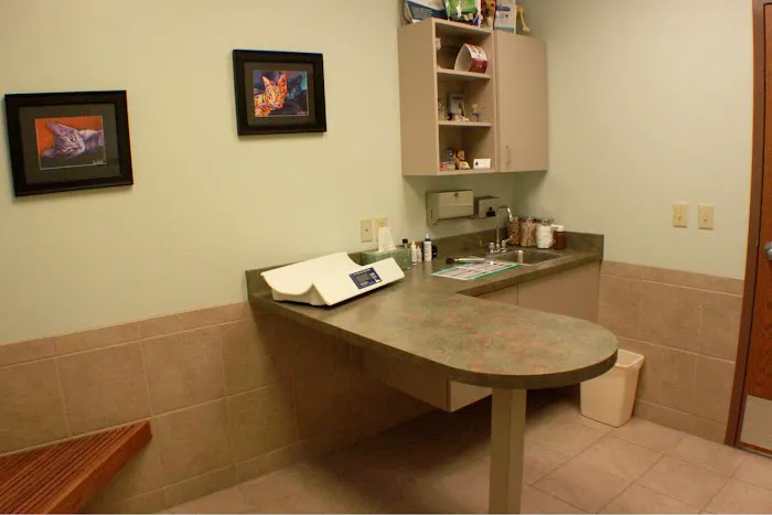 Fairview Hospital for Animals Picture 4