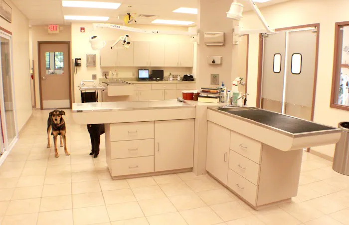 Fairview Hospital for Animals Picture 3