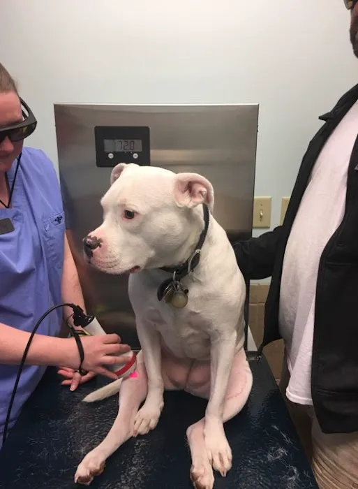 Fairview Hospital for Animals Picture 6