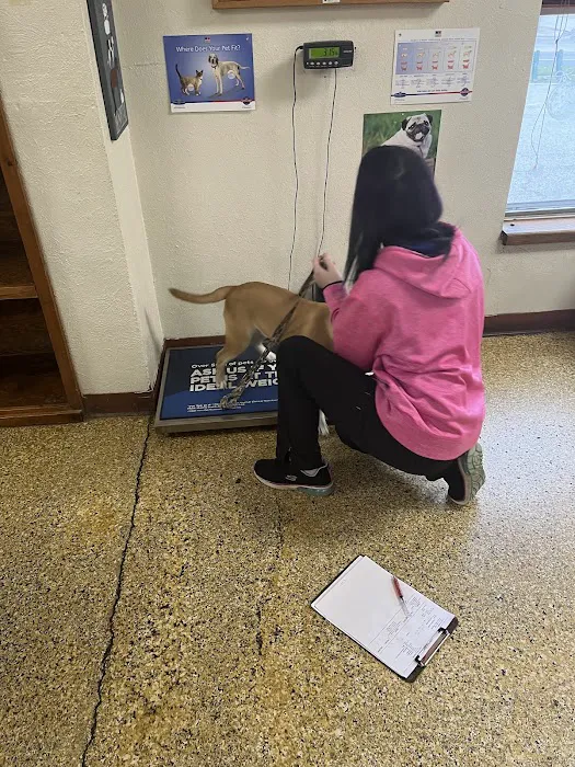 Animal Clinic of Decatur Picture 8
