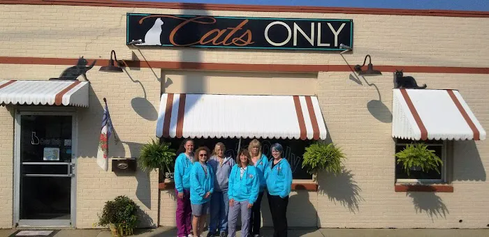Cats Only Picture 10
