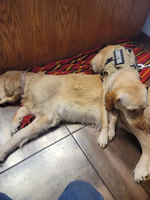 Northgate Pet Clinic Picture 8