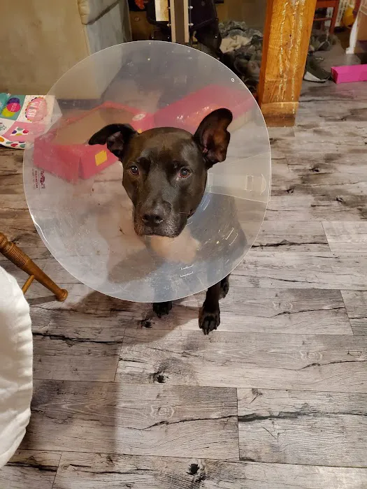 Best Friend Vet Care Picture 2