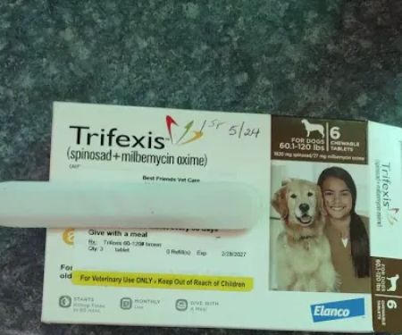 Best Friend Vet Care