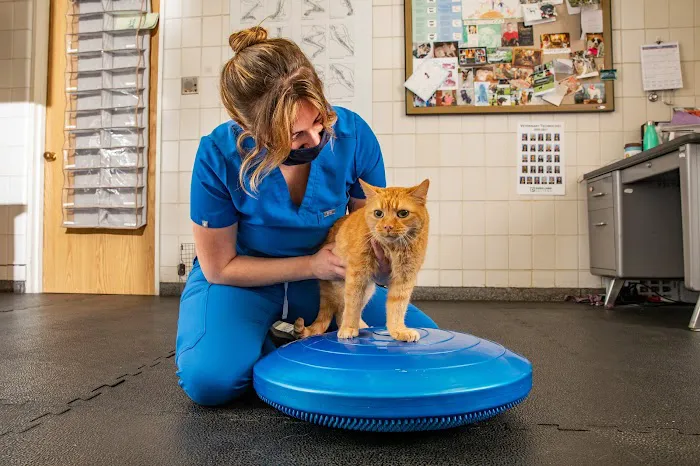 University of Illinois Veterinary Teaching Hospital Picture 4