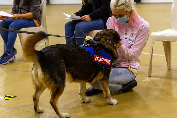University of Illinois Veterinary Teaching Hospital Picture 8