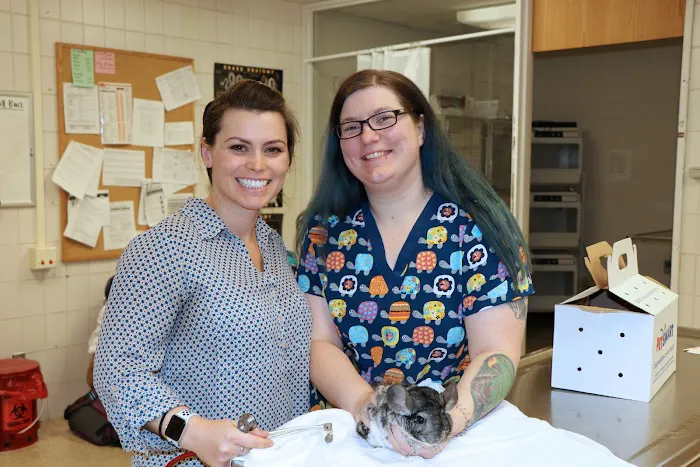 University of Illinois Veterinary Teaching Hospital Picture 10