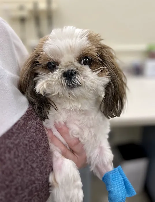 U. of I. Small Animal Clinic Picture 1
