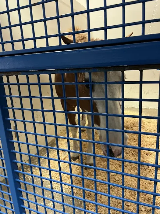 U of I Large Animal Clinic Picture 1