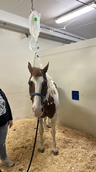 U of I Large Animal Clinic Picture 4