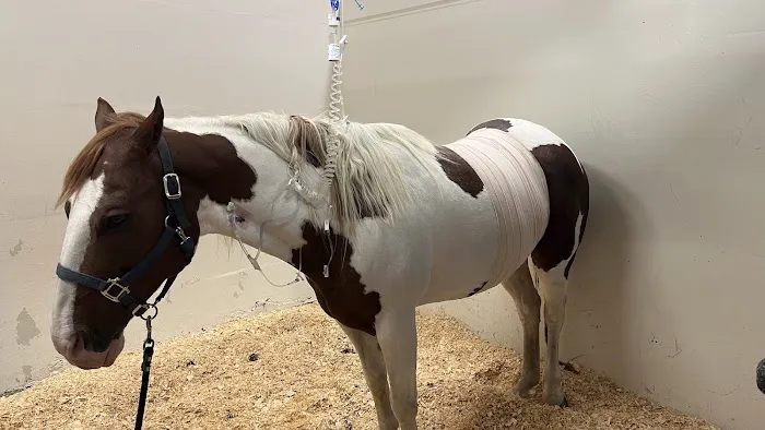 U of I Large Animal Clinic Picture 3