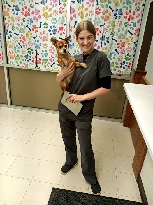 Pet Pro Picture 9