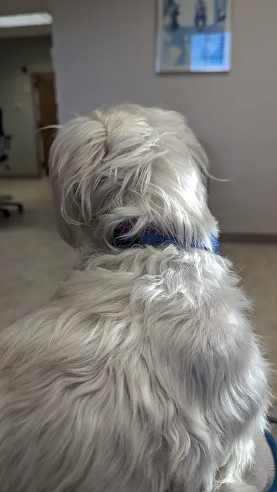 A & E Animal Hospital Picture 4